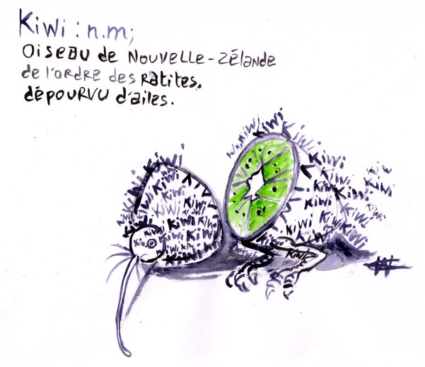 kiwi_p.jpg